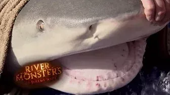 Jeremy Catches One Of The Largest Bull Sharks Ever Caught | SHARK | River Monsters