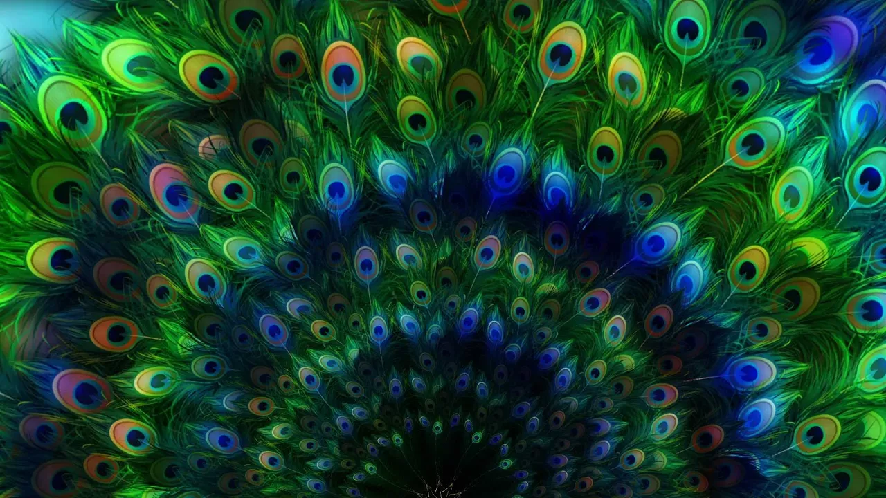 4K Ethnic Colorful Mandala Background Loops || Free Video Background Loops|| 4k VJ Loops - Peacock