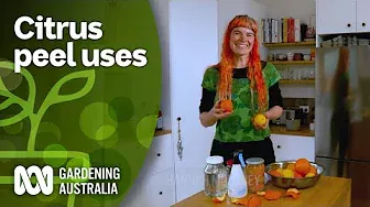 Two ways to get more use from your citrus peels | DIY Garden Projects | Gardening Australia