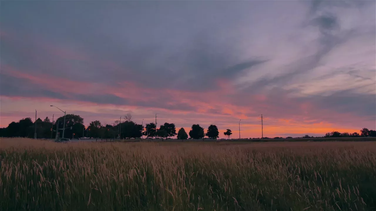 Dream Sunset - Country Road Timelapse