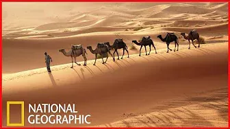 Тайны Пустынь National Geographic Документальный фильм 2021