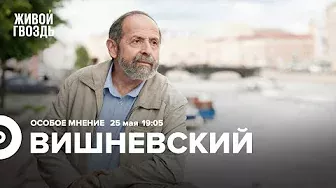 Борис Вишневский / Особое мнение // 25.05.2022