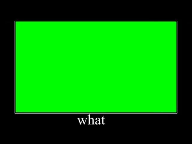 Wait What Green Screen Effect