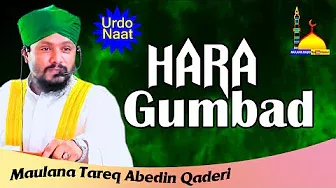 Hara Gumbad || শানে মাদীনা || ہرا گنبد || Urdo Naat By Maulana Tareq Abedin