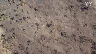 El incendio de Doñana a vista de dron | Vídeo