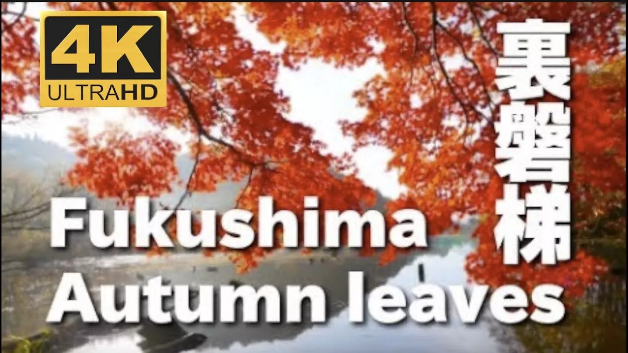 ４K 裏磐梯の紅葉 Autumn leaves in Fukushima Urabandai  JAPAN 東北の紅葉 大沢沼  五色沼 日本の紅葉 福島の紅葉 観光 紅葉名所 fall 秋 日本