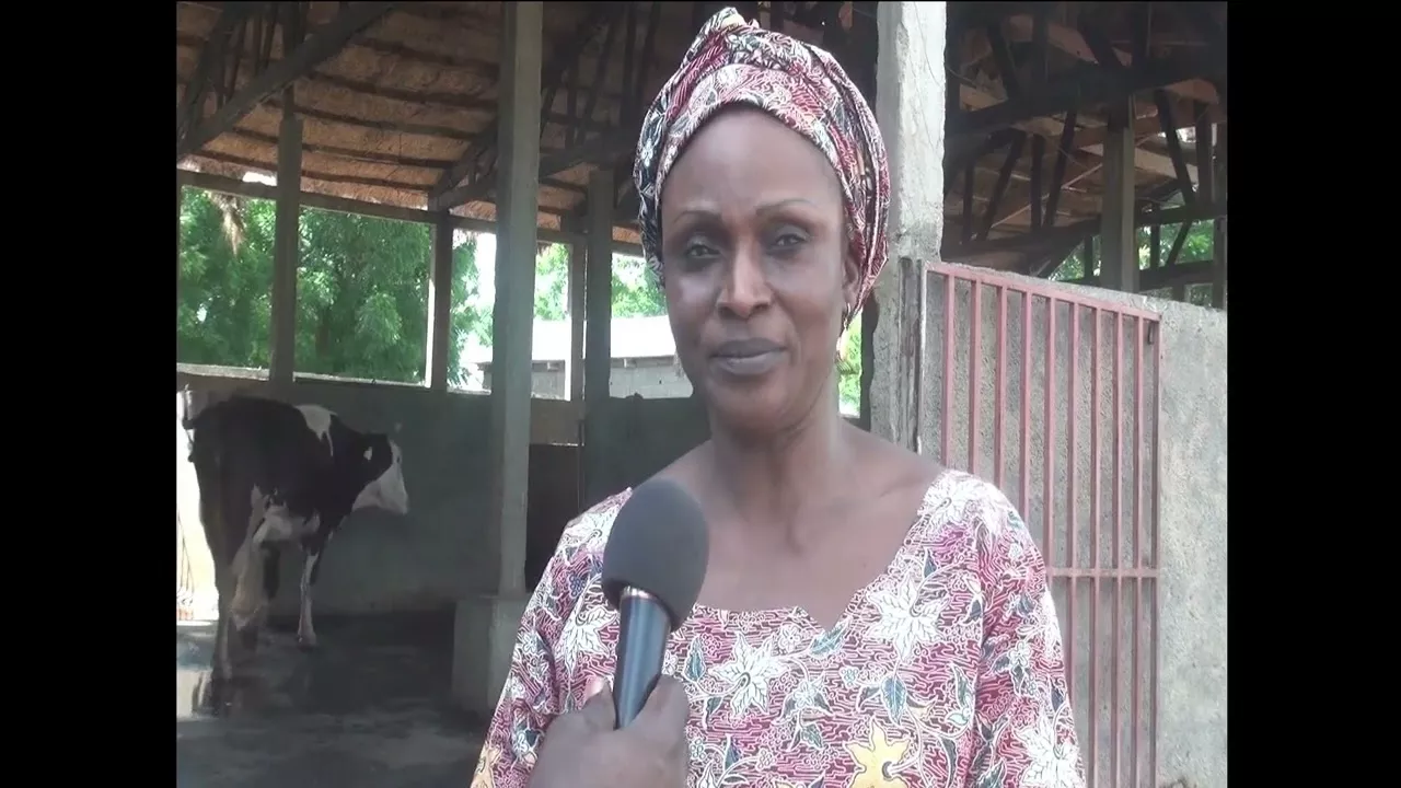 Une pionnière dans la production laitière à l'Extrême-Nord Cameroun