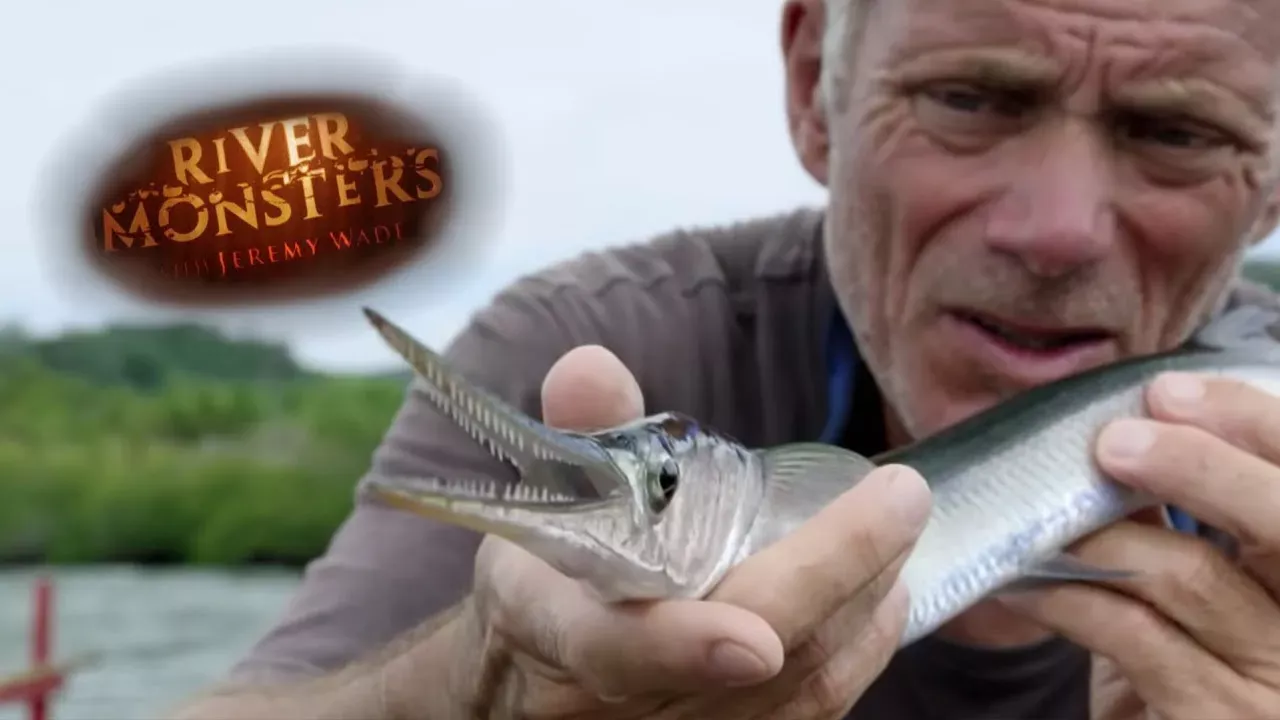 Can Jeremy Catch A Needlefish? | NEEDLEFISH | River Monsters