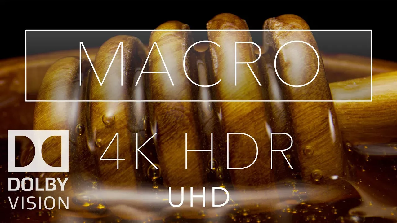 Macro HDR 4K 60fps Dolby Vision | Laowa 24mm Probe Lens
