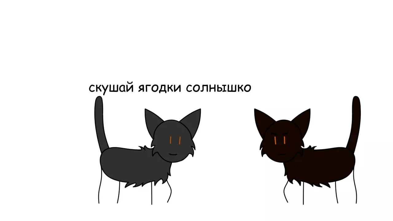 Коты-воители ~ Первый цикл в двух словах