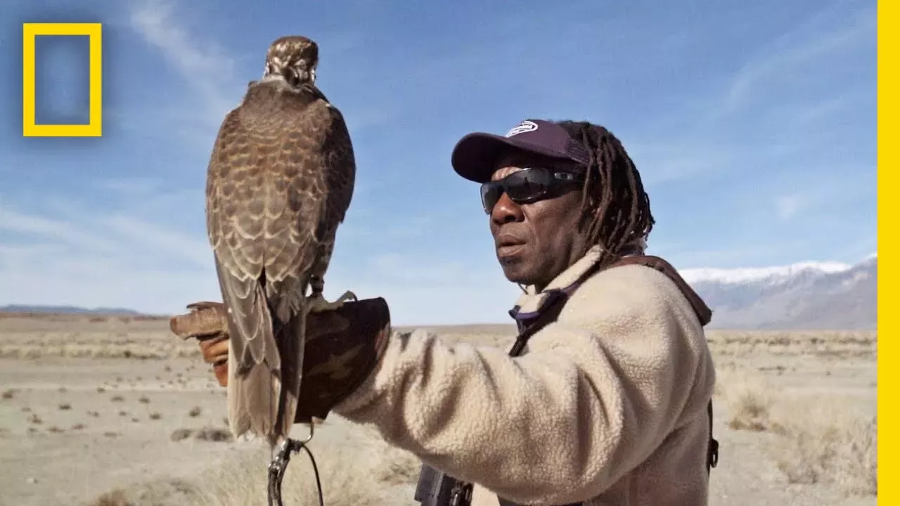 Hunting With Falcons: How One City Man Found His Calling in the Wild | Short Film Showcase
