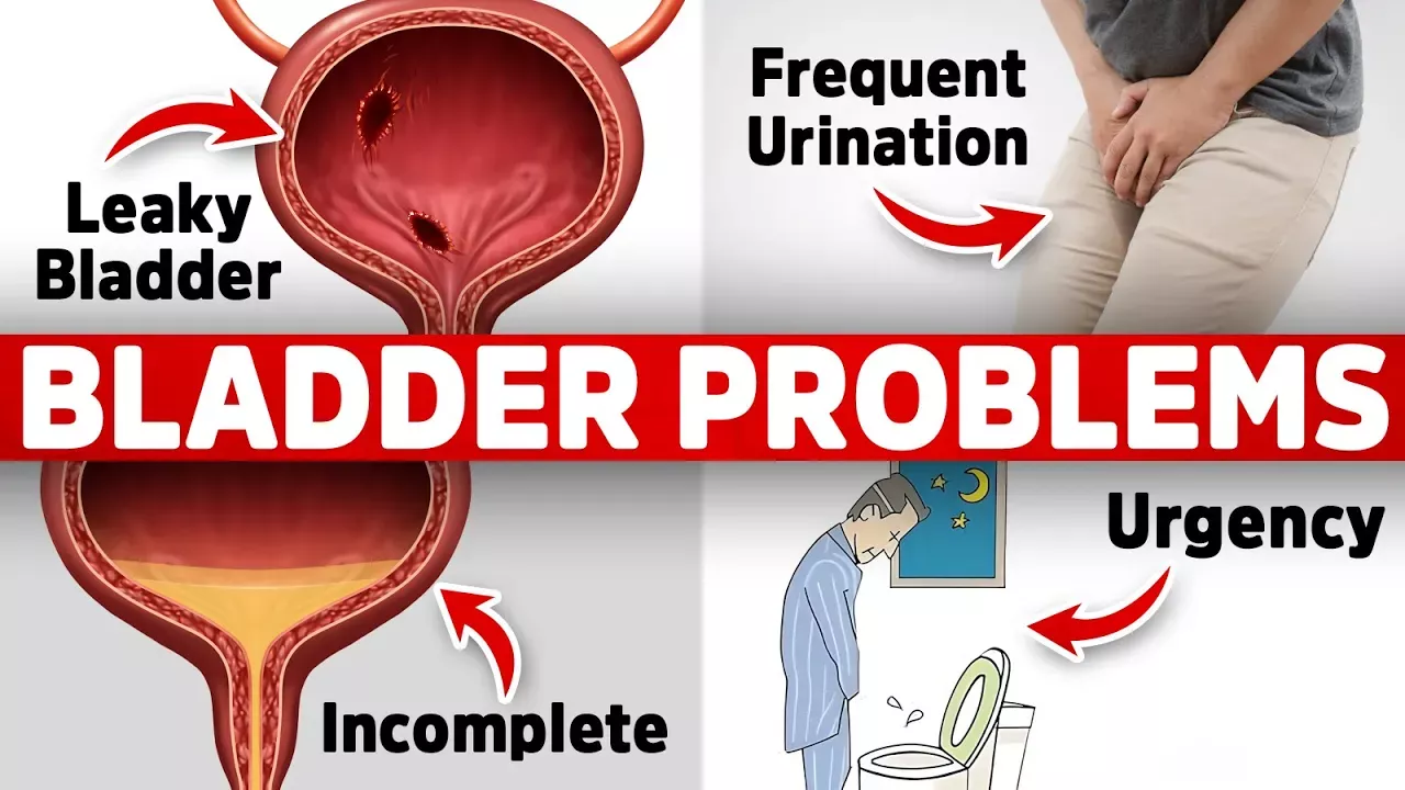 The #1 Vitamin Deficiency behind Bladder Issues (Freq. Urination, Leaky, Urgency)