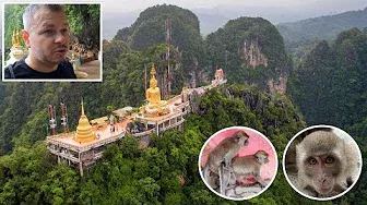 Opičie šialenstvo pod chrámom v oblakoch | Ao Nang, Thajsko