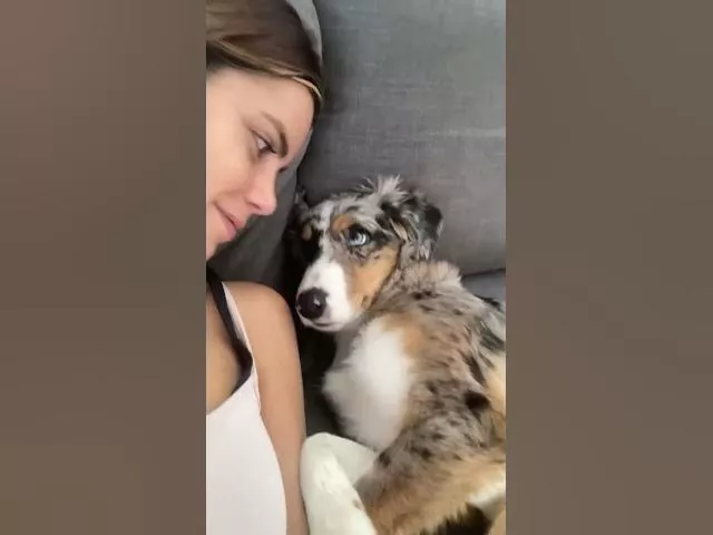 Kissing my Half Asleep Pup to See Her Reaction || ViralHog
