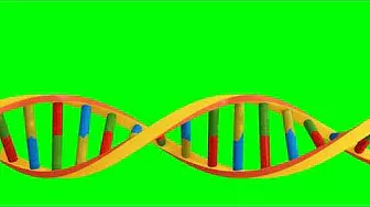 3D DNA Free Green Screen