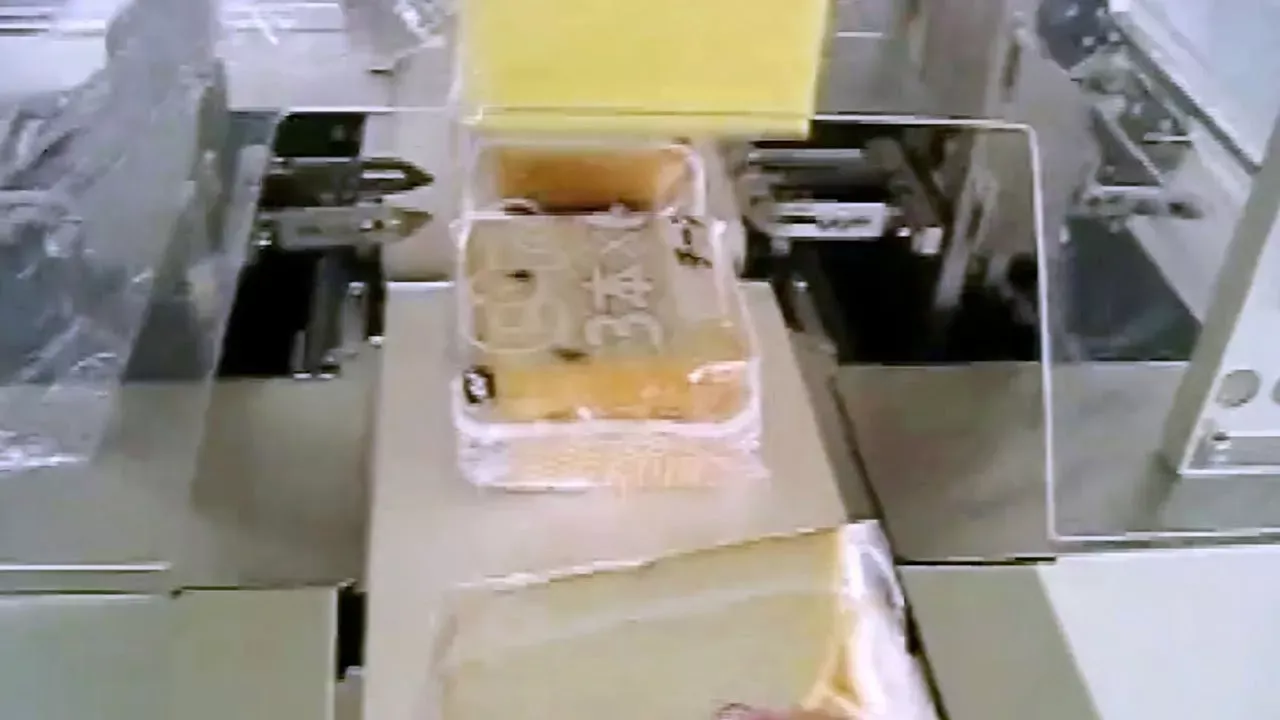 sliced bread flow wrapping machine reciprocating type packaging food equipment empaquetadora de pan
