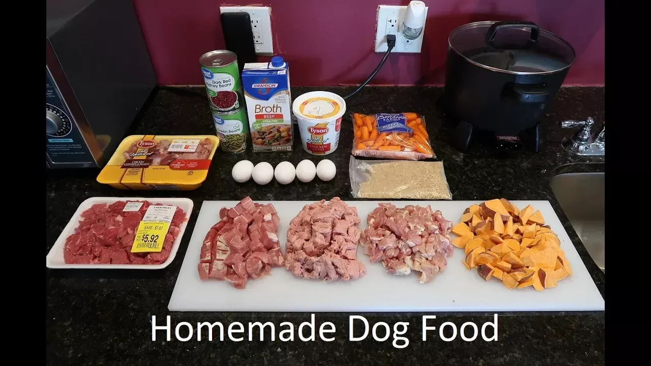 Best Homemade Dog Food Video - From A Past Vet Tech!