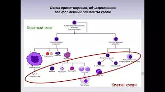Бутылин Андрей Александрович. Новые диагностические технологии: клеточные биочипы