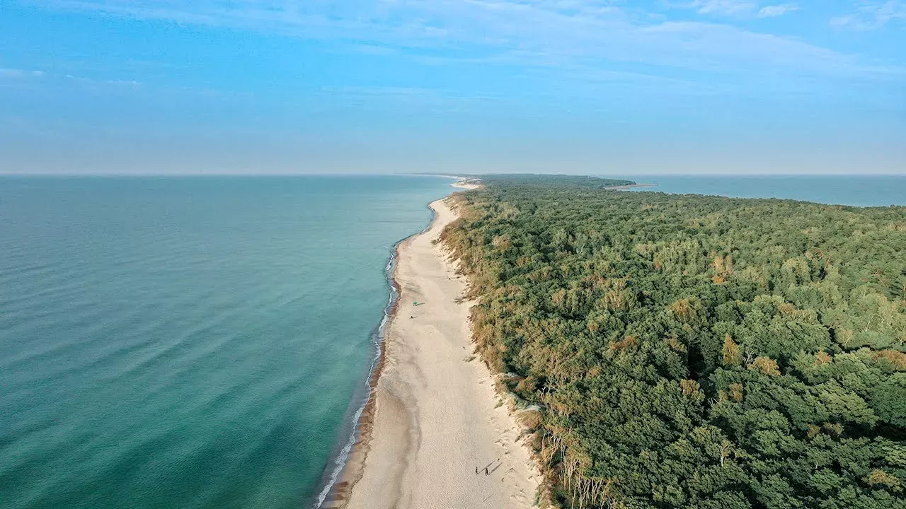 Куршская коса. Песчаные дюны на берегу Балтийского моря.