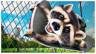 I Terrorized Humans as an Adorable Racoon - Wanted Racoon