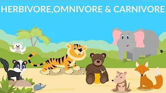 Herbivores | Carnivores | Omnivores | Types of Animals