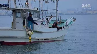 Япония - смертоносная рыба фугу и город роботов. Мир наизнанку - 2 серия, 9 сезон