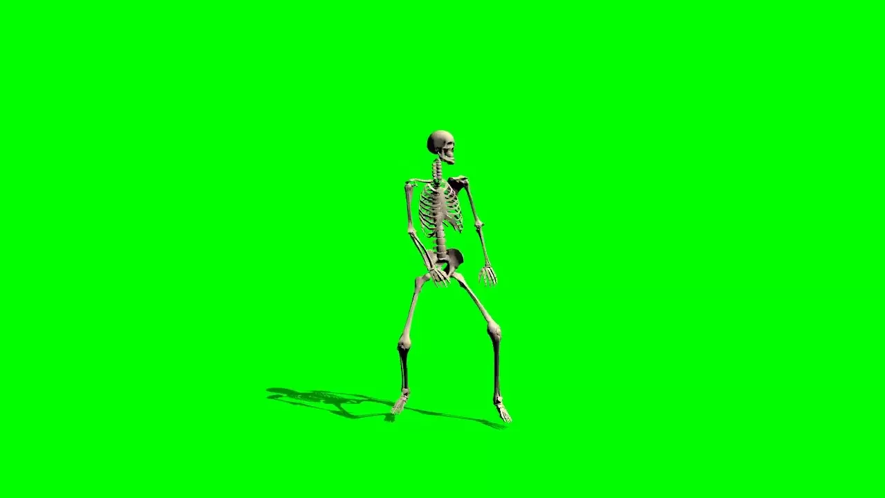 skeleton dance - green screen effect