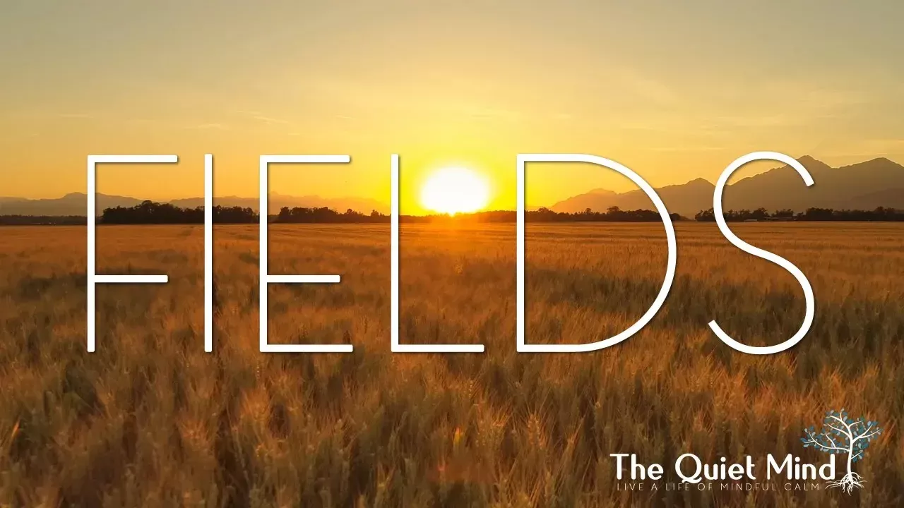 4K - FIELDS - Relax and Unwind to Wonderful Scenery of Wheat Fields - Meditation and Sleep Music