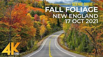 Beautiful New England's Fall Foliage Season - Scenic Roads of New Hampshire (4K 60fps)