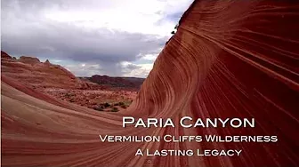 Paria Canyon/Vermilion Cliffs Wilderness - A Lasting Legacy