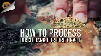 How To Process Birch Bark For Fire Craft