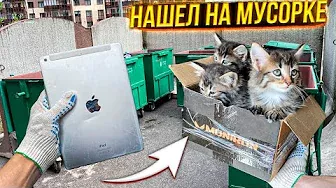 Как я зарабатываю лазая по мусоркам Питера ? Dumpster Diving RUSSIA #6
