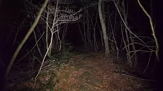Japan - Walking at night in Aokigahara forest (no pranks, not scary. ASMR?)・4K