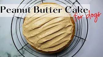 Easy Peanut Butter Dog Cake Recipe! 🥜🍰🐶 | WHISKOPETS KITCHEN 😄 | HOMEMADE DOG FOOD & TREATS |