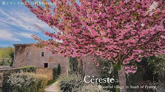 南フランスの美しい田舎・セレスト / 南フランスの村 / 南仏 / 可愛い猫 / ランチ / Beautiful village in South of France • Céreste