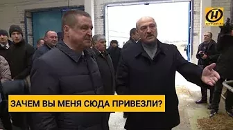 Лукашенко уволил губернатора Могилёвской области... Что он увидел на ферме в Шкловском районе?