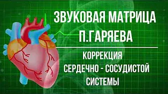 Сердечно-Сосудистая Система | Коррекция и Регенерация 🎧 Матрица Гаряева 💠 Cardiovascular System
