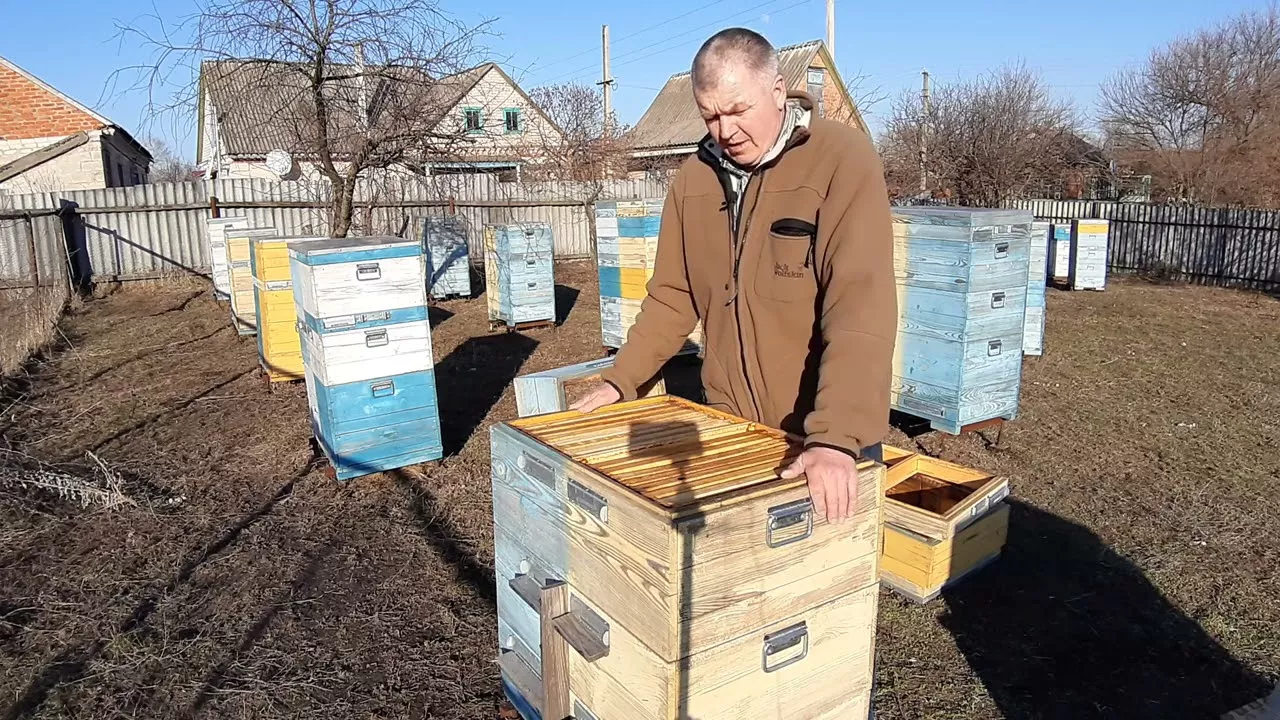 Двухматочное пчеловодство для начинающих. Часть 1. Заселение двухматочного улья.