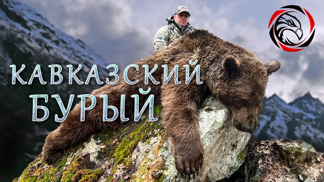 ТРОФЕЙНАЯ ОХОТА НА КАВКАЗСКОГО БУРОГО МЕДВЕДЯ / Epic Brown Bear Hunting: Did We Get the Trophy?