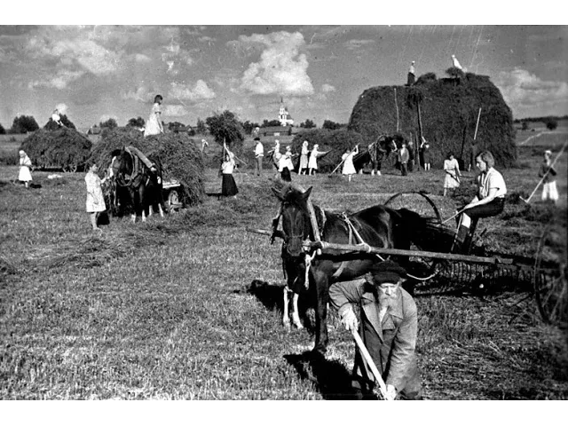 Уборка урожая началась, 1941 год,  Великая Отечественная война, СССР, кинохроника