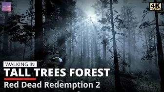 Forest Walk at Night in Red Dead Redemption 2