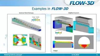 Modeling fishway passages | FLOW-3D Webinar