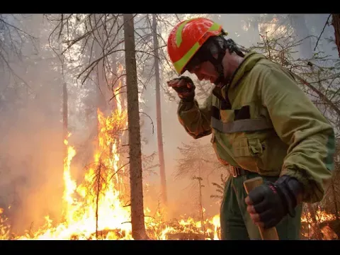 Правила поведения при пожаре в лесу