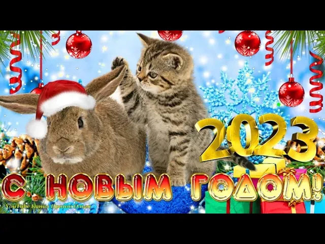 С НОВЫМ 2023 ГОДОМ🐇🎄Встречаем Год Кролика (Кота)! Супер Поздравление с Годом Кролика🐰