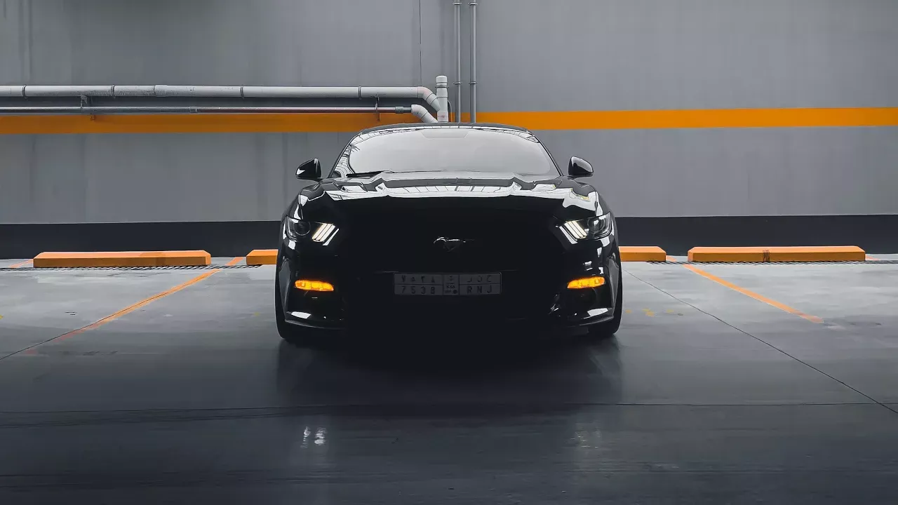 TAMING THE COYOTE | Mustang GT 5.0 short film.