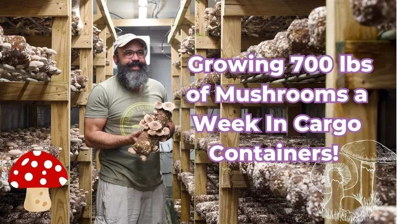 The Mushroom Man: Growing 700 lbs of Mushrooms Every Week In Cargo Containers