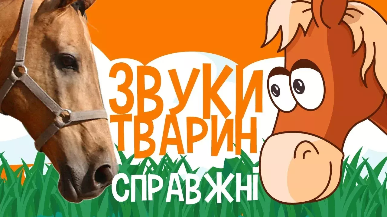 ЗВУКИ ТВАРИН для дітей - мультфільми українською мовою. З любов`ю!
