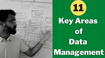What are the 11 key areas of Data Management and specific data roles?