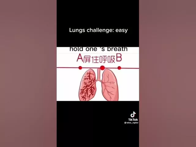 Lungs challenge easy