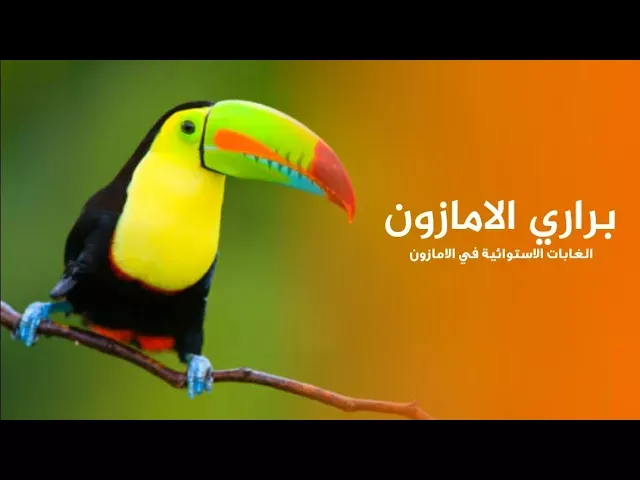 براري الامازون اكتشاف حيوانات ارض الغابات الاستوائية المطيرة | كويست عربية Quest Arabiya
